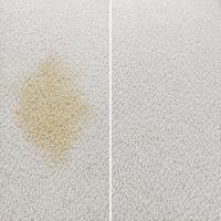 Comparaison avant-après d'une tache d'urine de chat sur tapis nettoyée avec le produit shampouineuse Nettovia